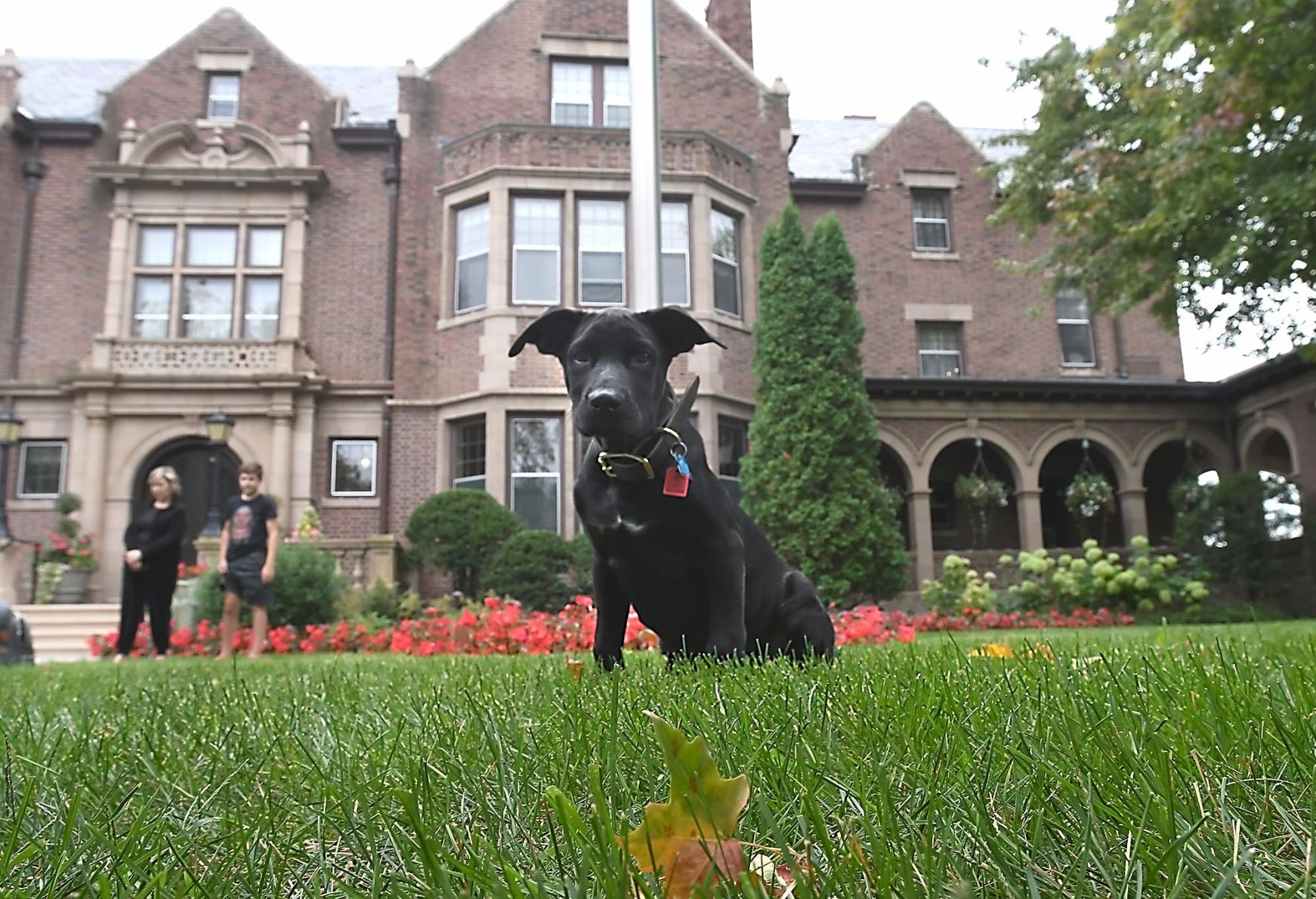 Governor's new dog 4